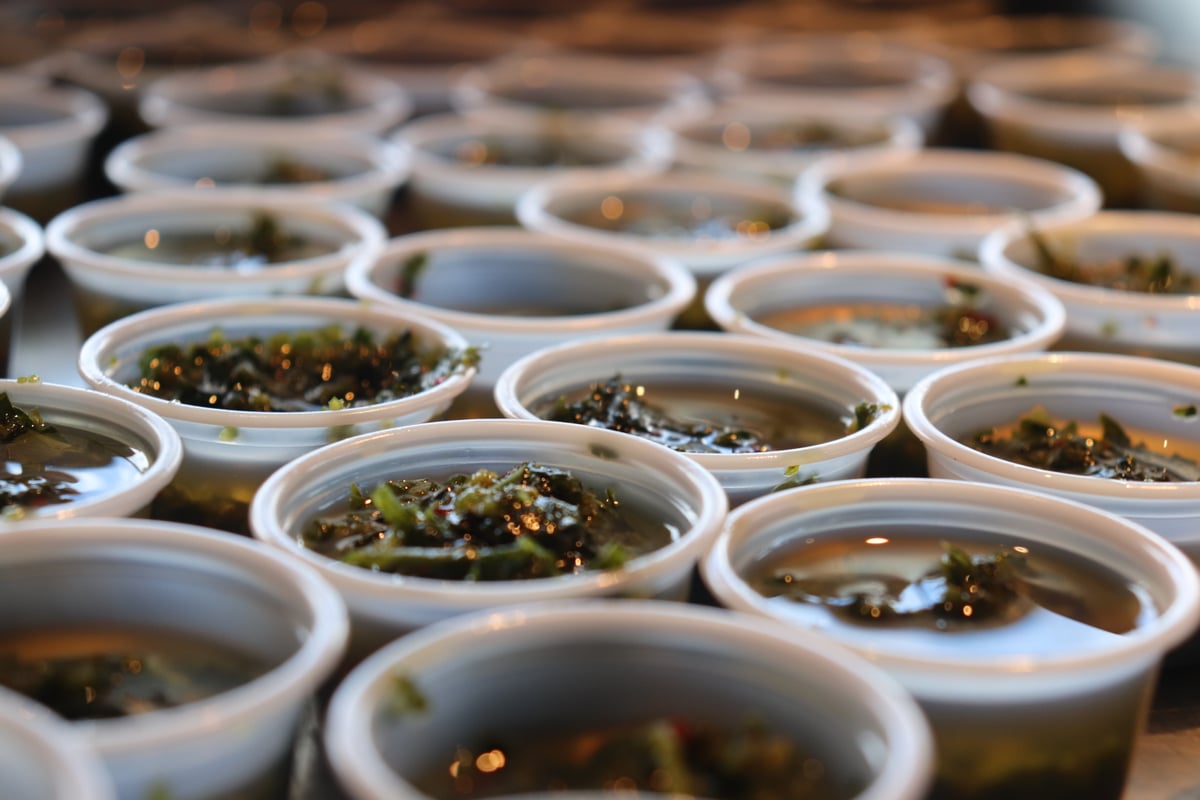 Portions of María Luisa chimichurri ready for the table
